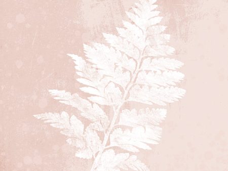 FEN150 - Blush Fern II - 12x12 Online