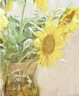 BLUE490 - Sunflower    - 9x18 Online now