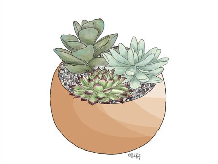 HK150 - Succulent Planter II - 12x12 Fashion