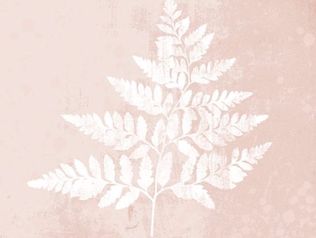 FEN149 - Blush Fern I - 12x12 on Sale